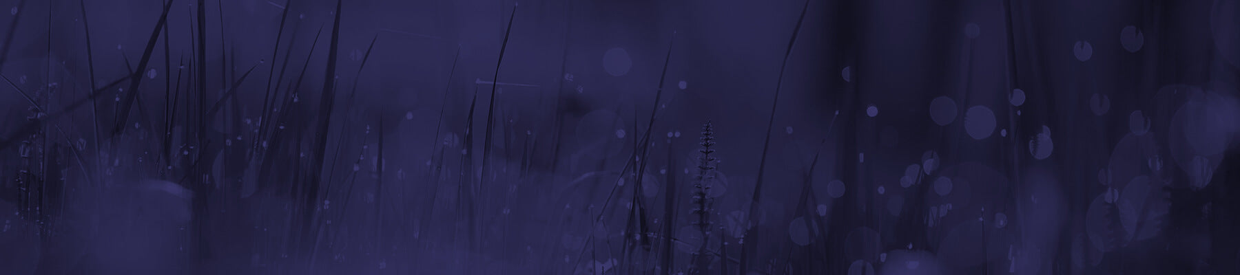 Oval Cut Diamond Engagement Rings