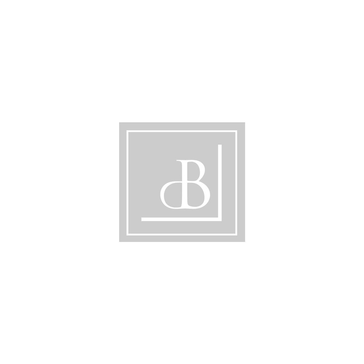 deBebians logo with a stylized letter 'dB' in a square frame on a white background