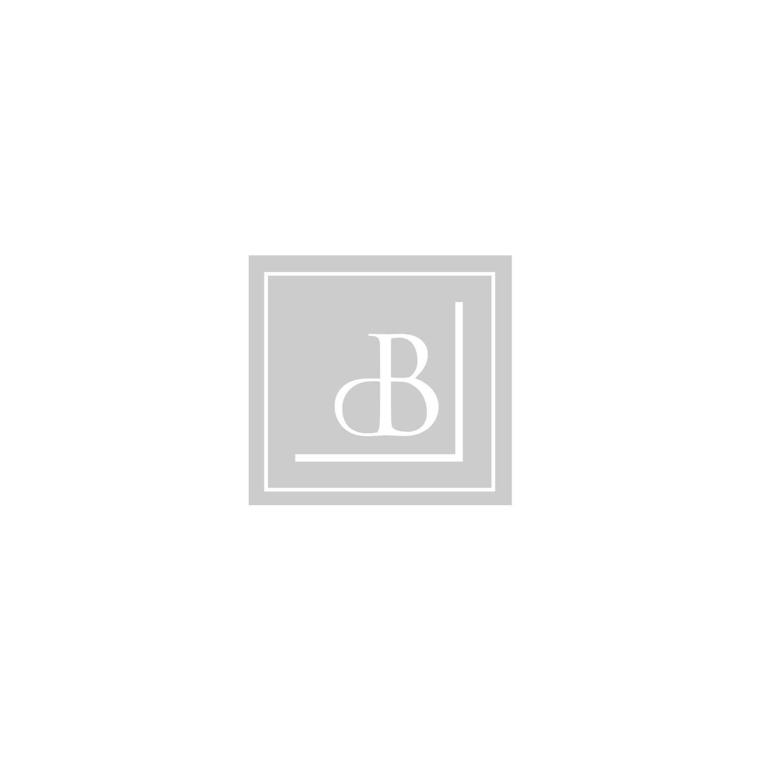 deBebians logo with a stylized letter 'dB' in a square frame on a white background