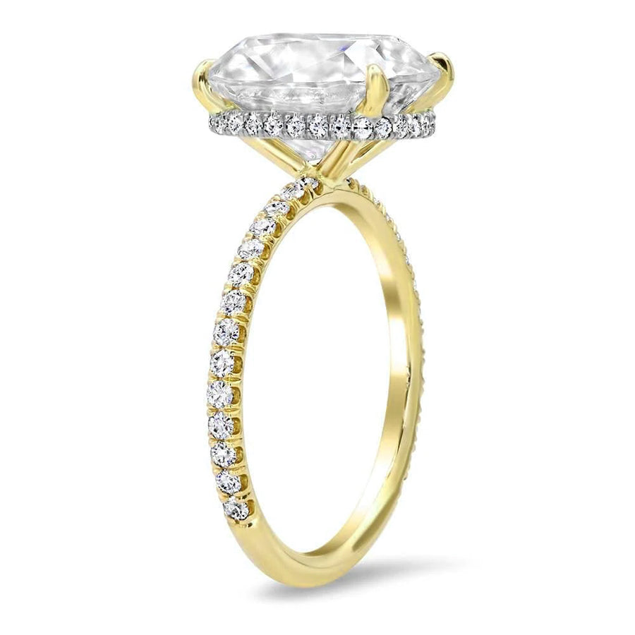 Pave Shank Diamond Wrap Engagement Ring | deBebians