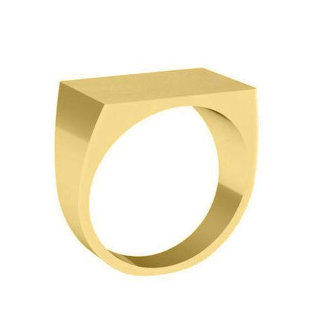 Solid Gold Signet Ring Signet Rings deBebians 